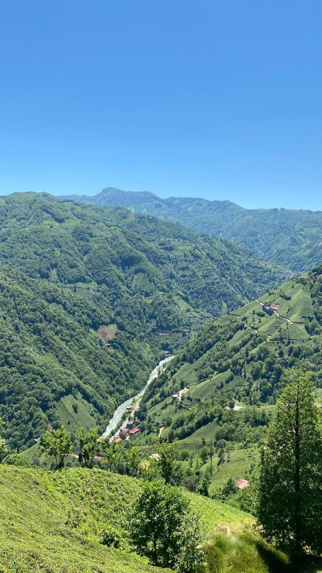 Toli Bungalow Otel Ardeşen Dış mekan fotoğraf